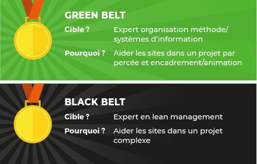 Green belt - Black belt