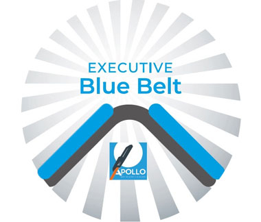 Executive Blue Belt Viapost